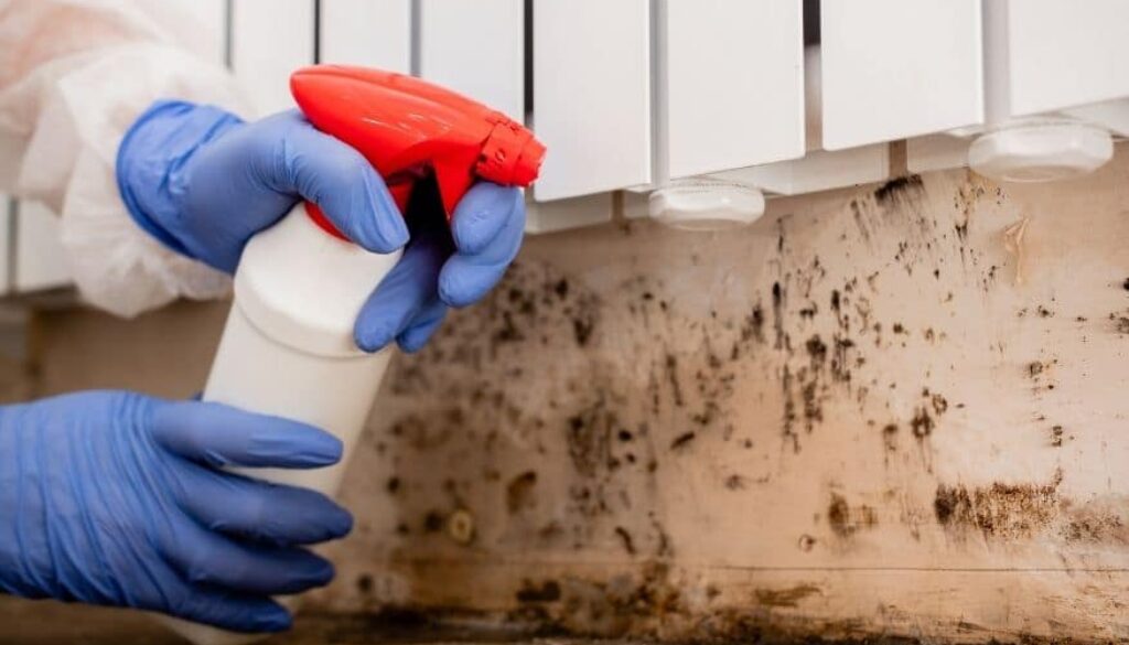 Different Methods For Mold Removal